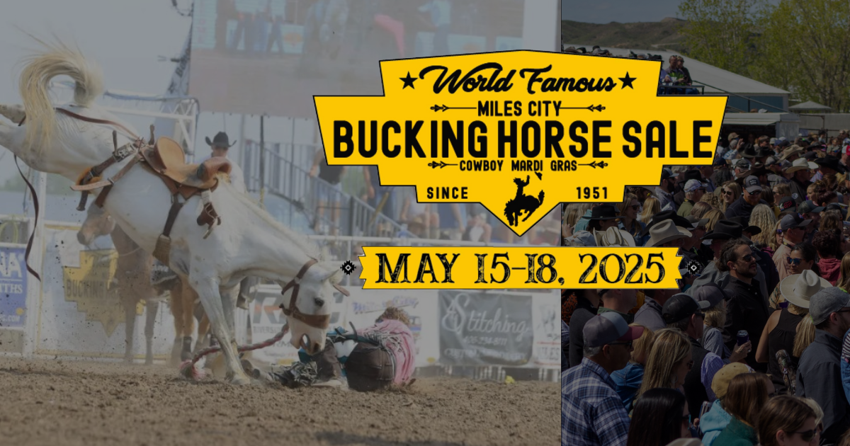 World Famous Miles City Bucking Horse Sale • Ranch Channel