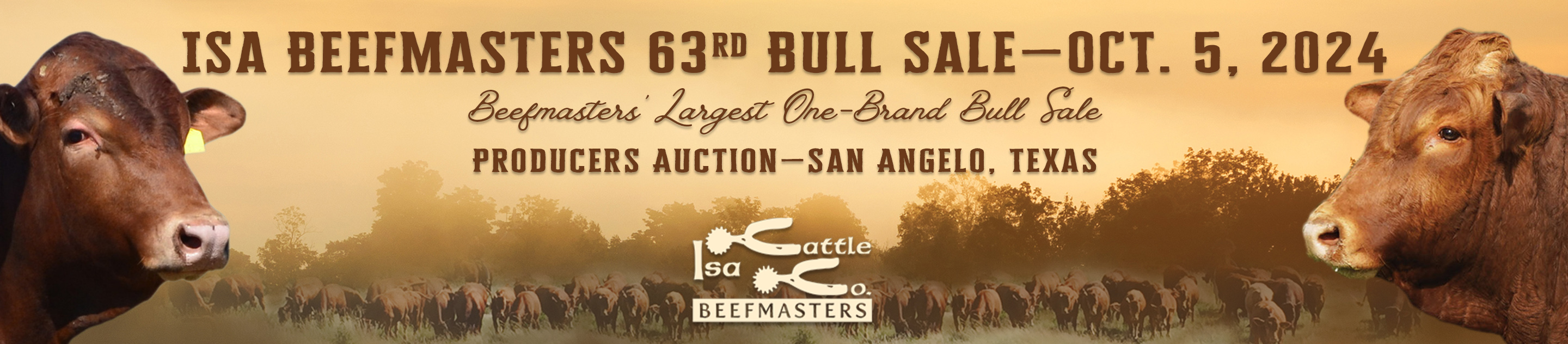 Home ISA Beefmasters Bull Sale Ranch Channel 2024