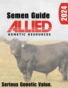 Allied Genetic Resources Bull Semen Catalog 2024 Ranch Channel