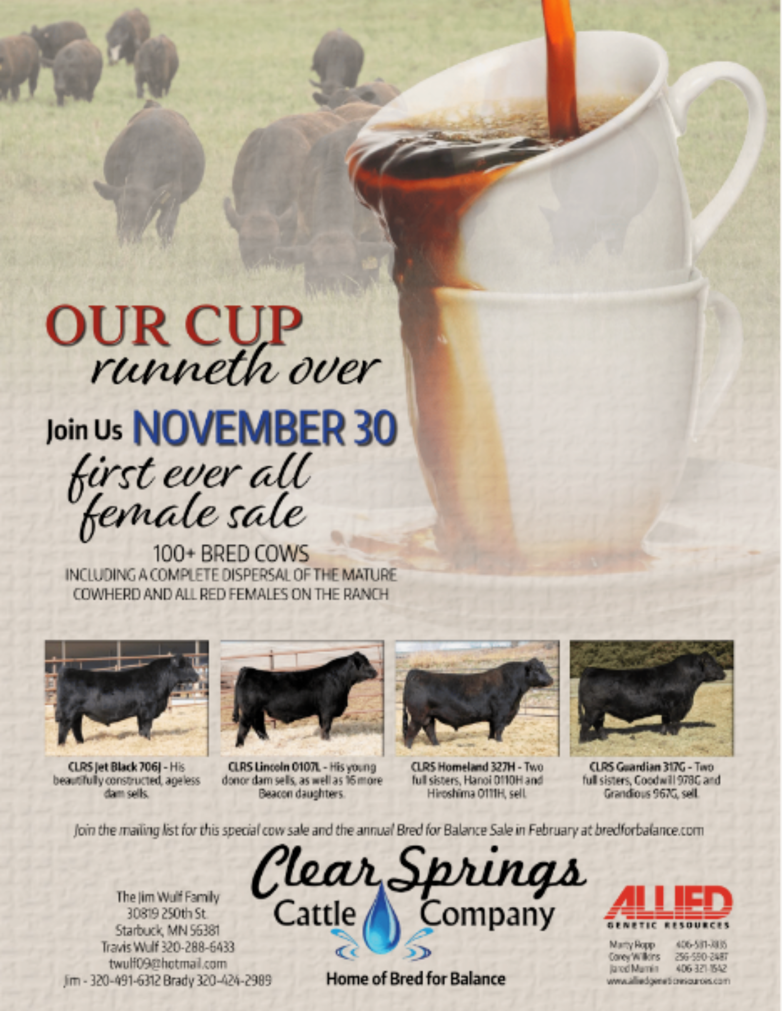 Clear Springs Cattle Company: Mature Cowherd & Red Heifer Sale