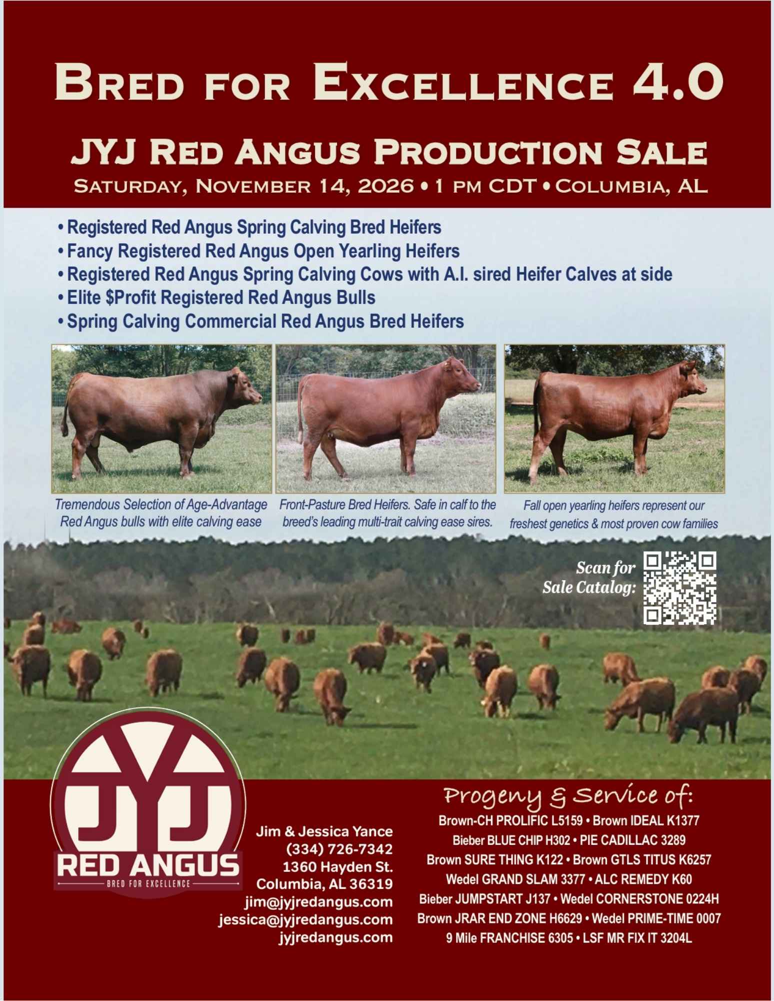 JYJ Red Angus Bull, Cow and Heifer Sale