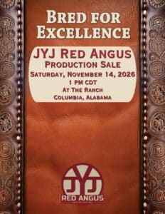 JYJ Red Angus Bull Cow Heifer Sale 2026