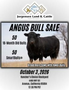 Jorgensen Land Cattle Angus SmartBull Bull Sale Catalog 2026 Ranch Channel