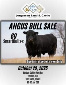 Jorgensen Land & Cattle Angus SmartBull Bull Sale Texas Ranch Channel 2026 Catalog