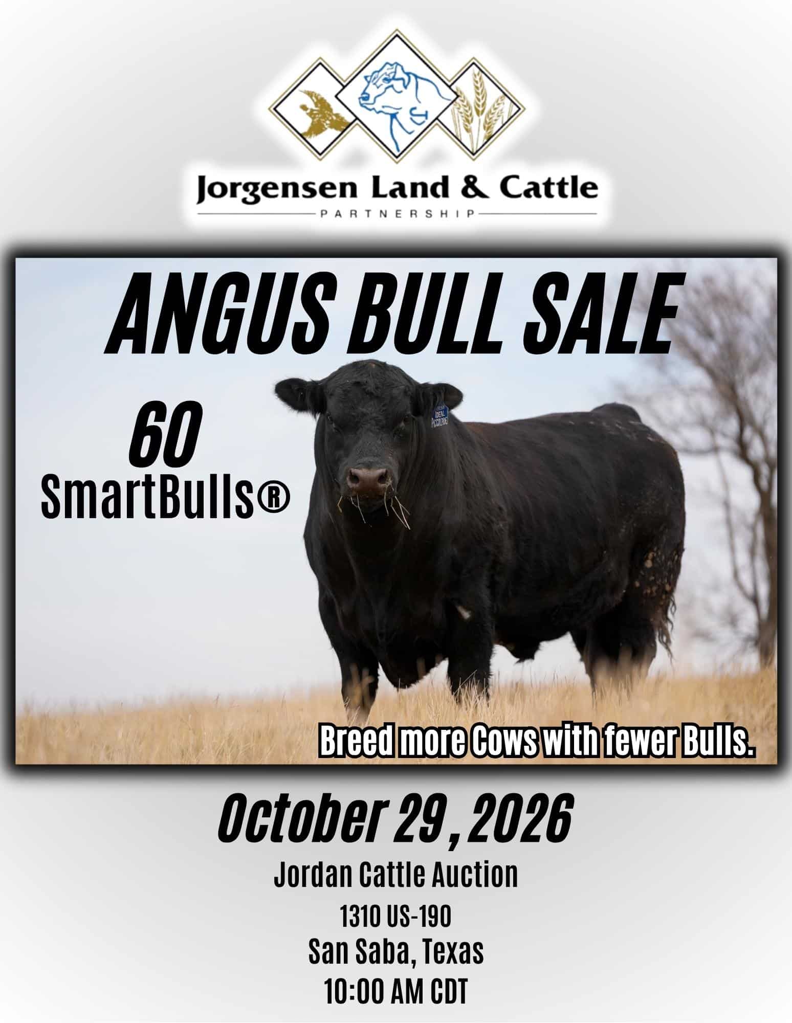 Jorgensen Land & Cattle: Angus SmartBull Bull Sale