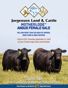 Jorgensen Land & Cattle Motherlode Angus Female Sale Catalog Ranch Channel 2024