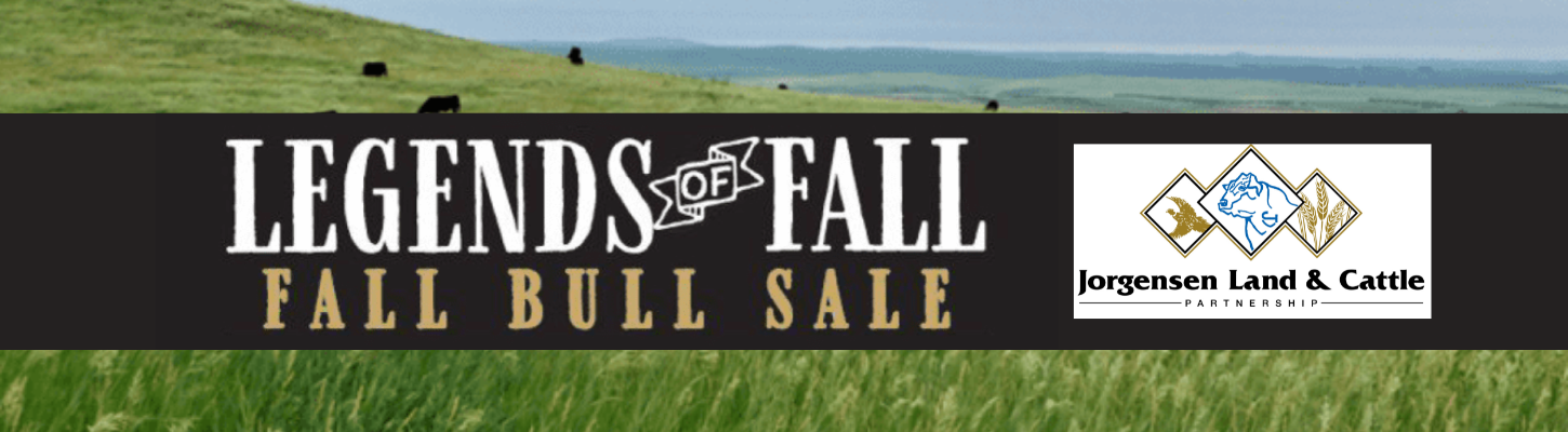 Jorgensen Land & Cattle Legends Of The Fall Bull Sale Ranch Channel Ranch Channel