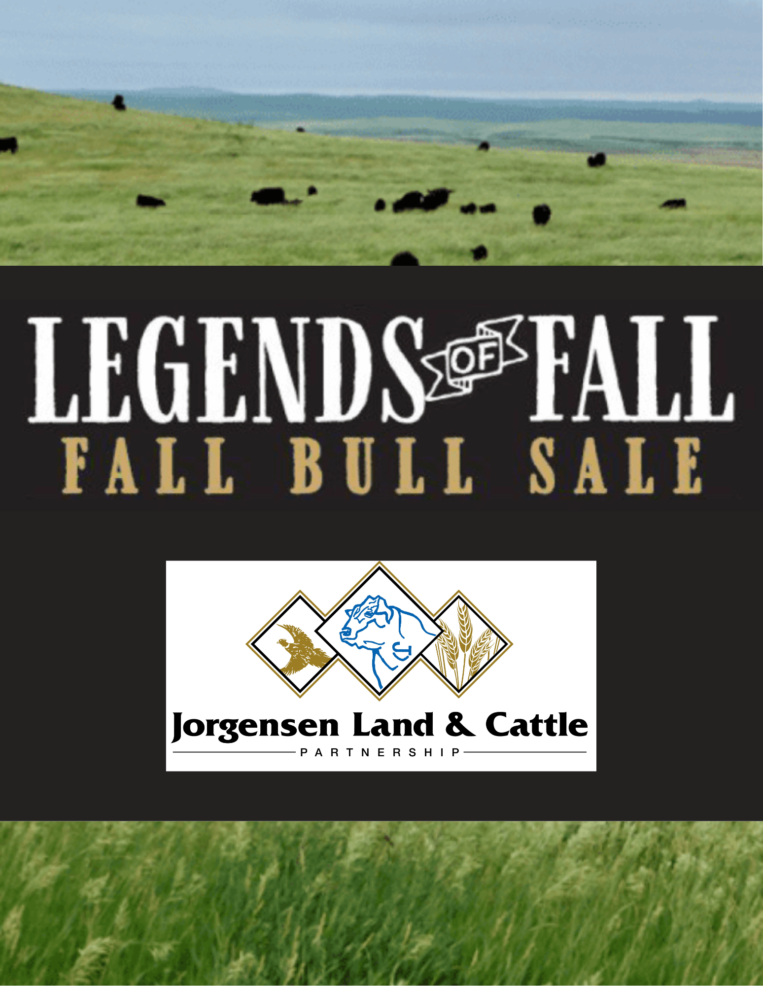 Jorgensen Land & Cattle: Legends Of The Fall Bull Sale