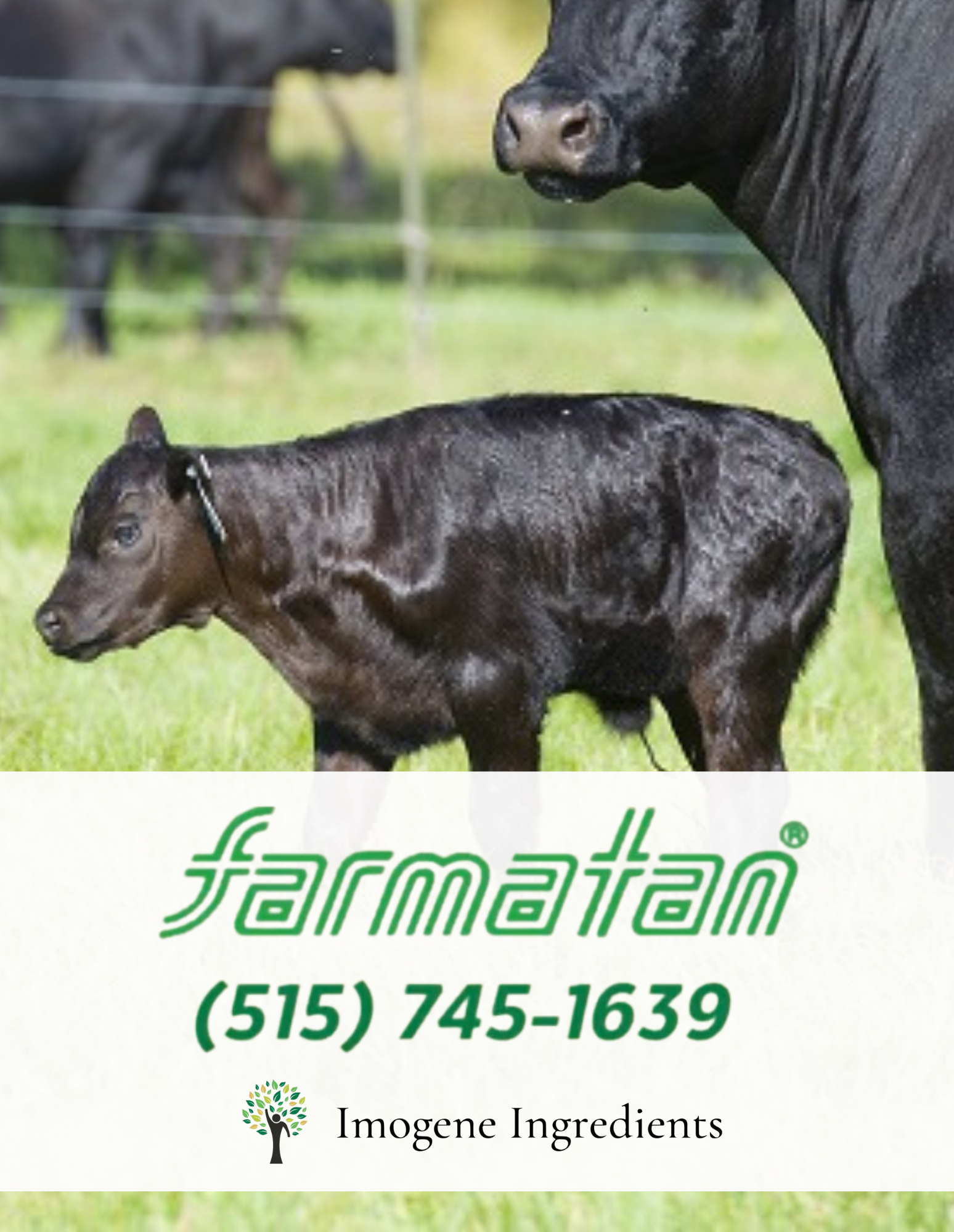 Farmatan by Imogene Ingredients: Scours Prevention for Calves