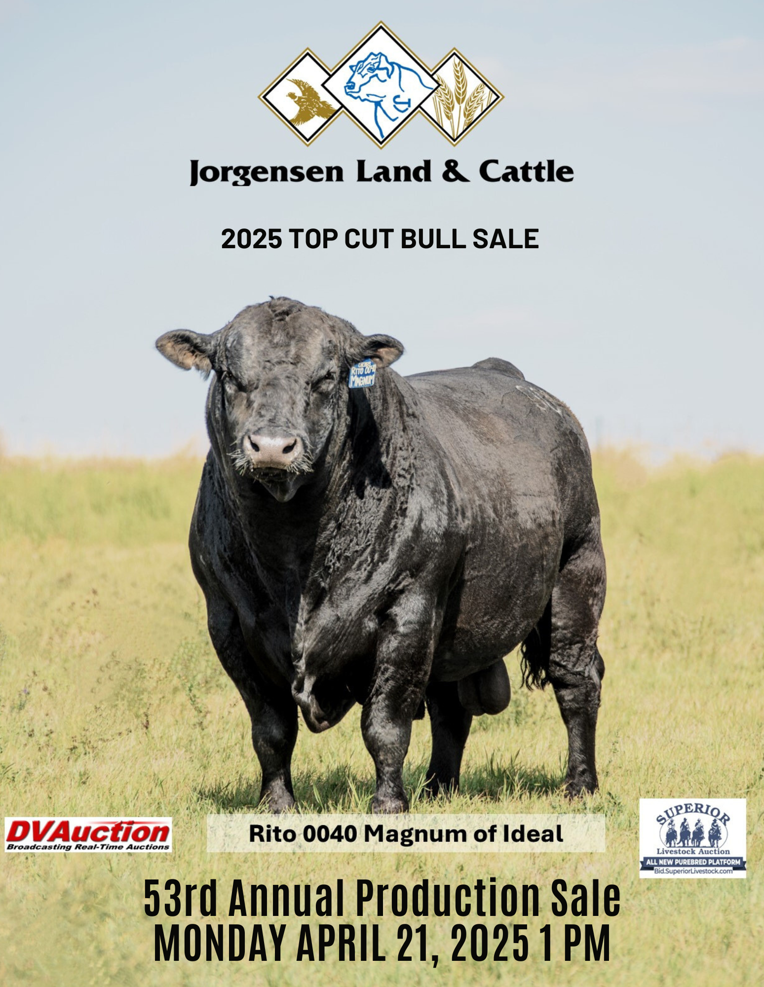 Jorgensen Land & Cattle Top Cut Angus Bull Sale