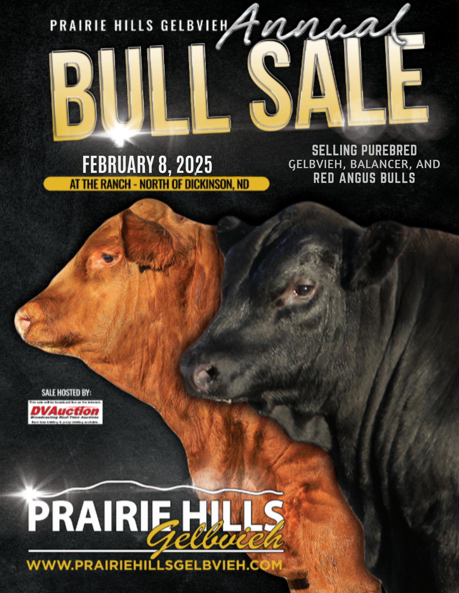 Prairie Hills Gelbvieh Bull Sale