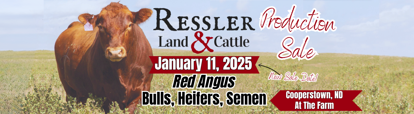 Ressler Land & Cattle Ranch Channel Red Angus Bull Production Sale 2025 Banner image Carousel