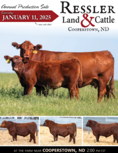 Ressler Land & Cattle Ranch Channel Red Angus Bull Production Sale 2025 Feature Catalog