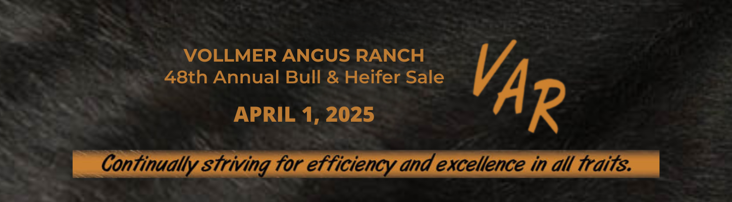 Vollmer Angus Ranch Bull & Heifer Sale 2025 Ranch Channel Banner