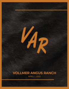 Vollmer Angus Ranch Bull & Heifer Sale 2025 Ranch Channel Feature Image