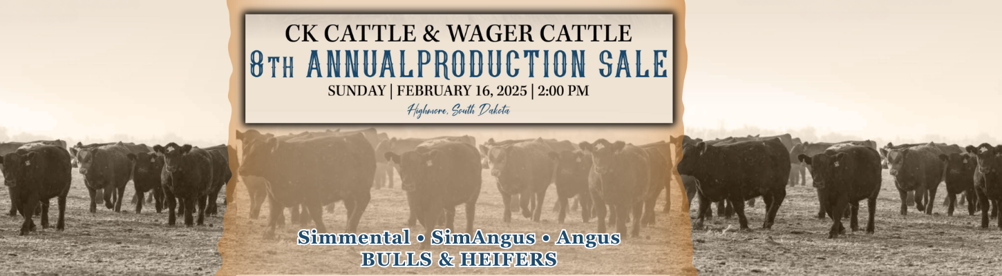 CK Cattle & Wager Cattle Simmental, SimAngus, Angus Bulls & Heifers Ranch Channel 2025 Catalog Banner