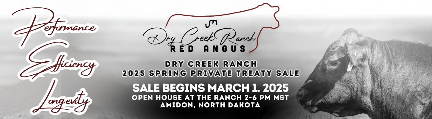 Dry Creek Ranch Cattle Red Angus Bulls Private Treaty Ranch Channel 2025 Banner