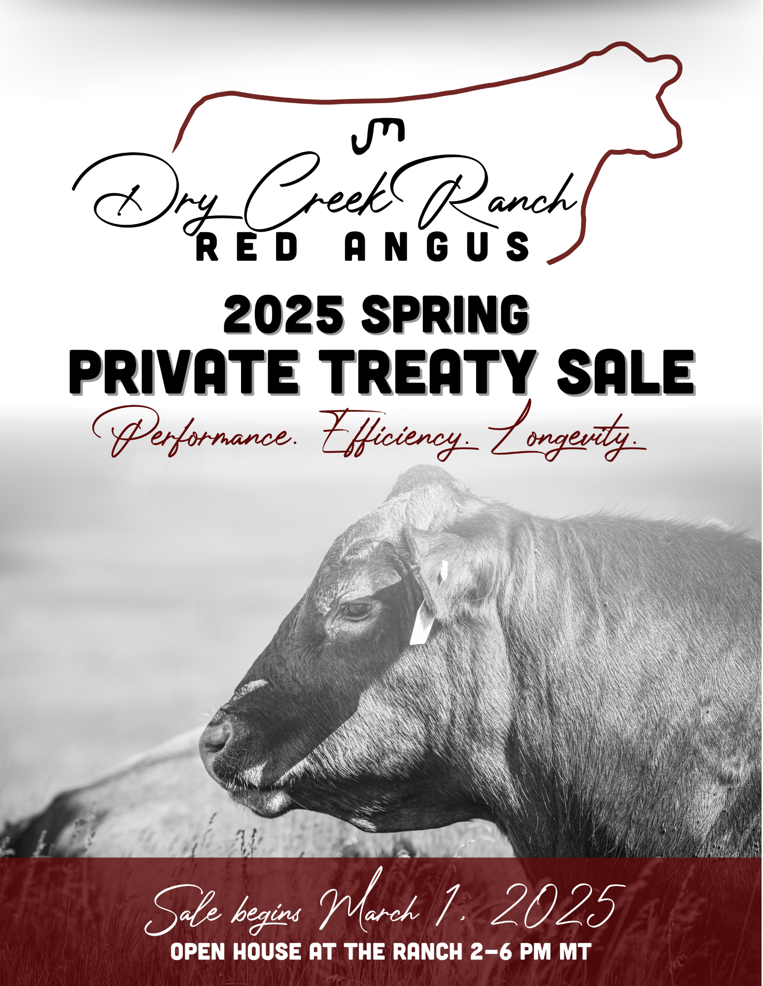 Dry Creek Ranch: Private Treaty Red Angus Bull Sale