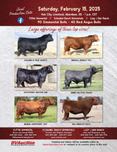 Flittie Simmental Schnabel Simmental Lazy J Bar Ranch Simmental Bulls Red Angus Bulls Ranch Channel 2025 Feature