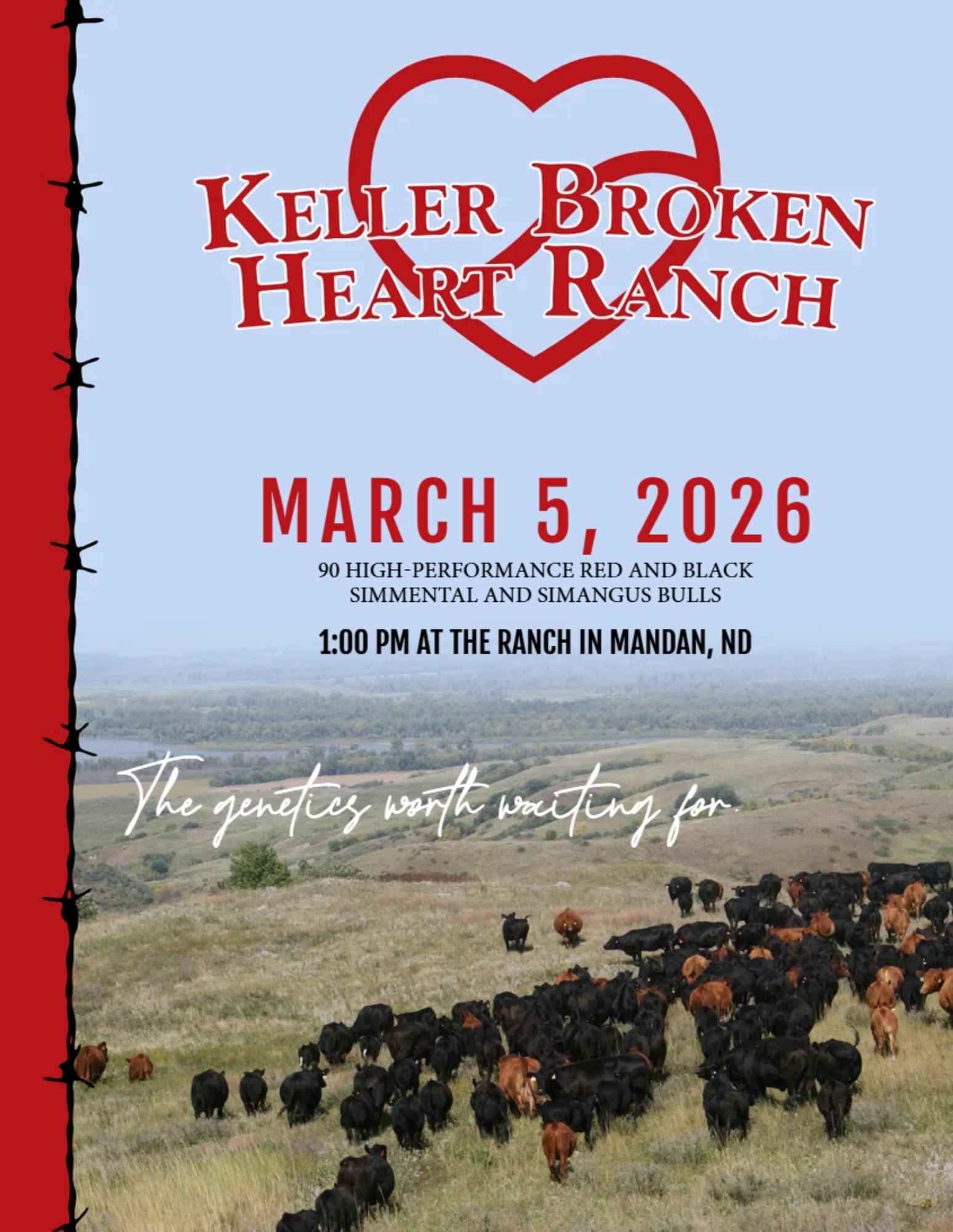 Keller Broken Heart Ranch Simmental SimAngus Bull Sale Catalog 2026