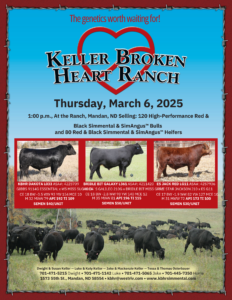 Keller Broken Heart Ranch Cattle Red and Black Simmental, SimAngus Bulls and Heifers Ranch Channel 2025 Feature Flier