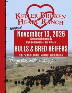 Keller Broken Heart Ranch Simmental SimAngus Bull Bred Heifer Sale Catalog 2026 Ranch Channel