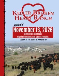 Keller Broken Heart Ranch Simmental SimAngus Heifer Female Sale Catalog 2026 Ranch Channel