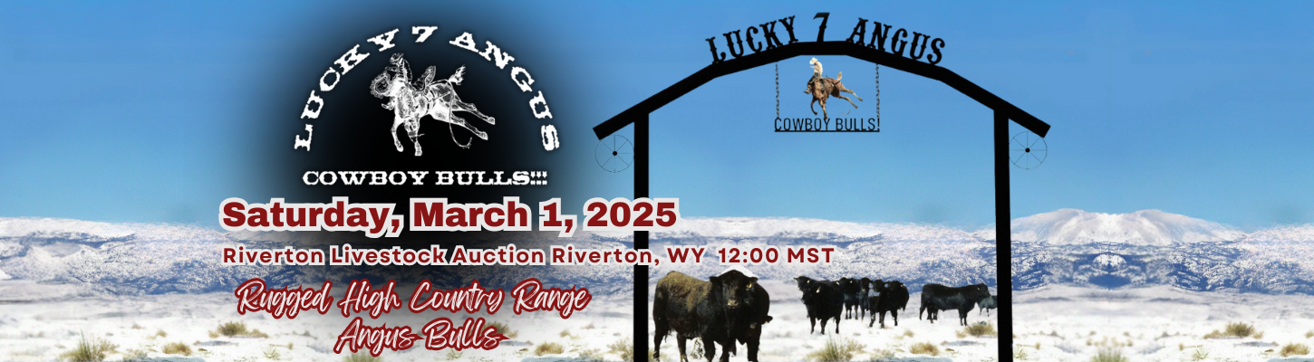 Lucky 7 Angus Angus Bull Sale Ranch Channel 2025 Banner