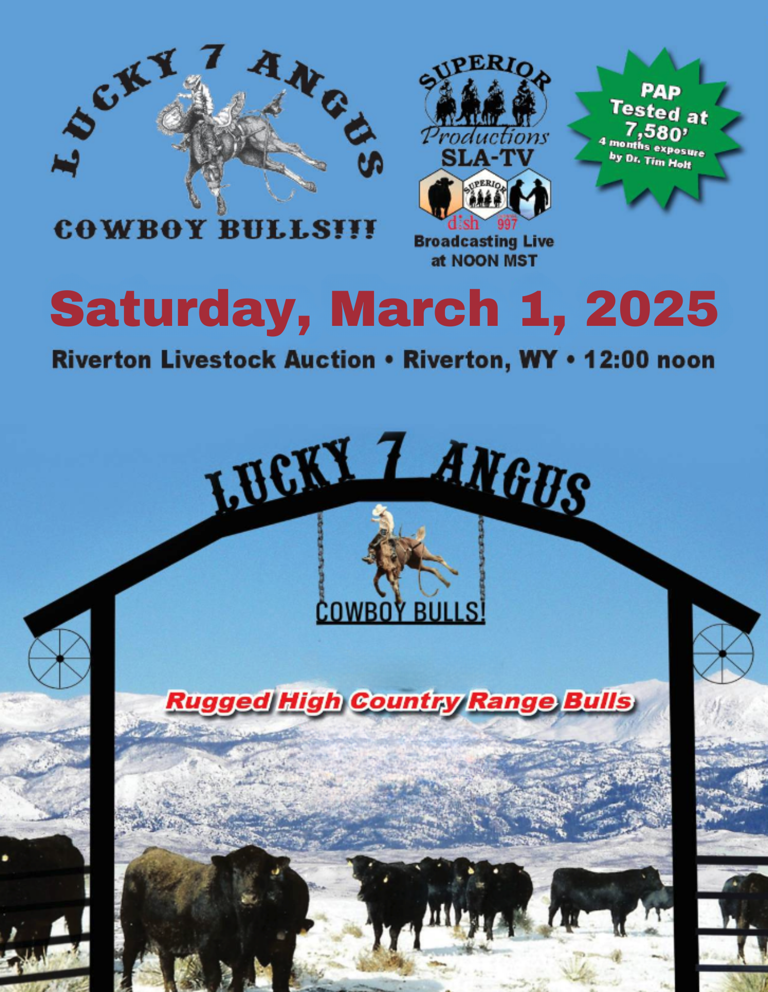 Lucky 7 Angus Angus Bull Sale Ranch Channel 2025 Feature