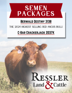 Ressler Land & Cattle Red Angus Bull Semen 2025 Feature