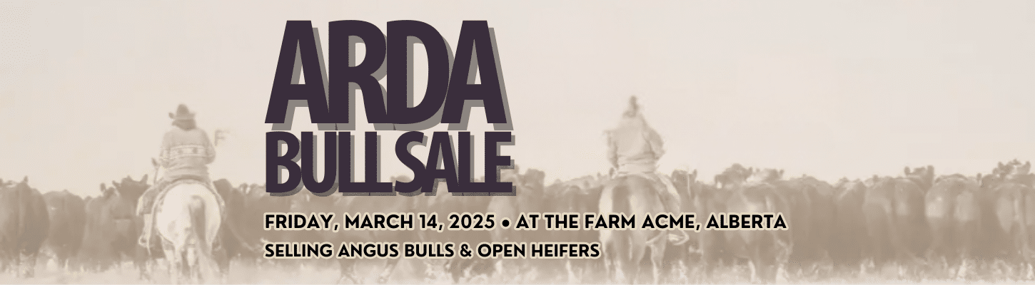 Arda Farms & Freeway Angus Bulls And Heifers Ranch Channel 2025 Banner March Black