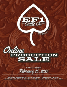 EF1 Cattle Co Hereford Bulls Online Ranch Channel 2025 feature