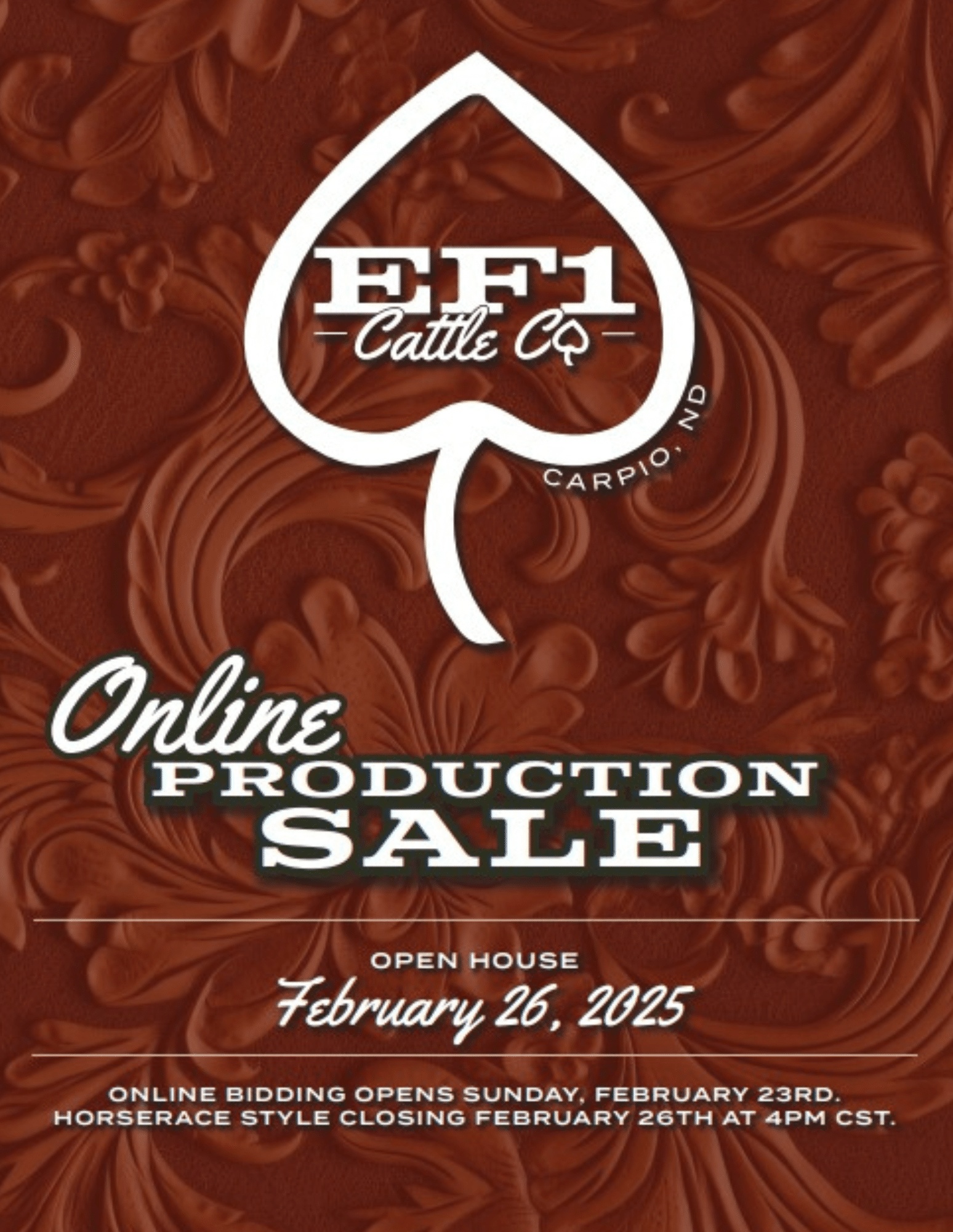 EF1 Cattle Co: Line 1 Hereford Bulls For Sale