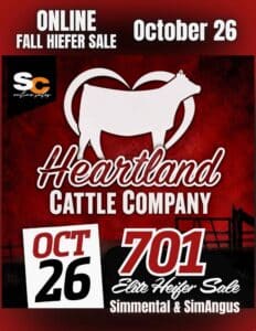 Heartland Cattle Company Simmental SimAngus Heifer Sale 2026 Catalog