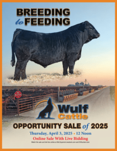 Wulf Cattle 2025 Limousin, Lim-Flex, Angus Bull & Heifer Sale Ranch Channel 2025 Feature Orange