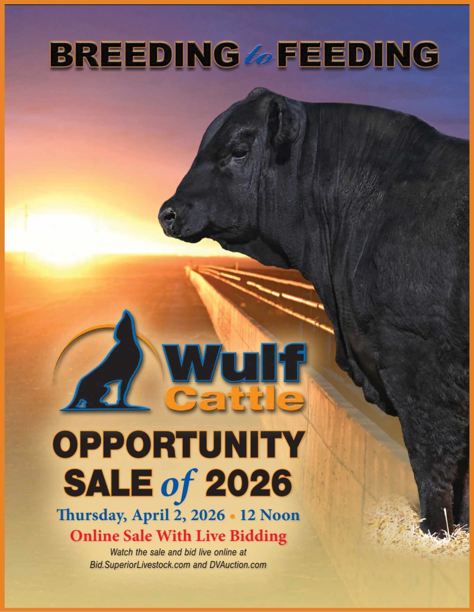 Wulf Cattle: Limousin, Lim-Flex, Angus Bull & Heifer Sale 