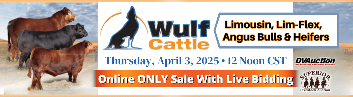 Wulf Cattle Limousin, Lim-Flex, Angus Bull & Heifer Sale Ranch Channel 2025 Banner