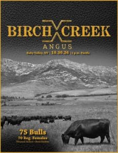 Birch Creek Angus Bull Heifer Sale Nevada Catalog 2026 Ranch Channel