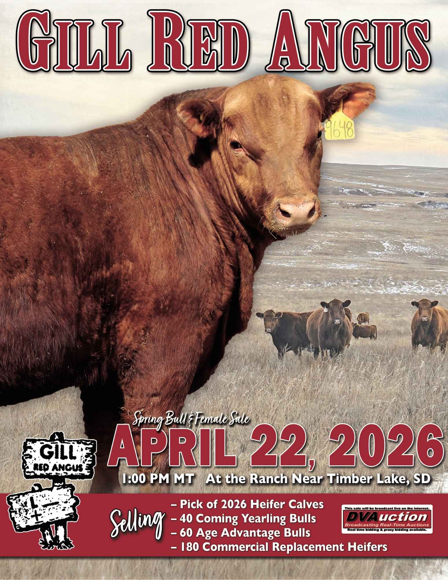 Gill Red Angus Bull and Heifer Sale
