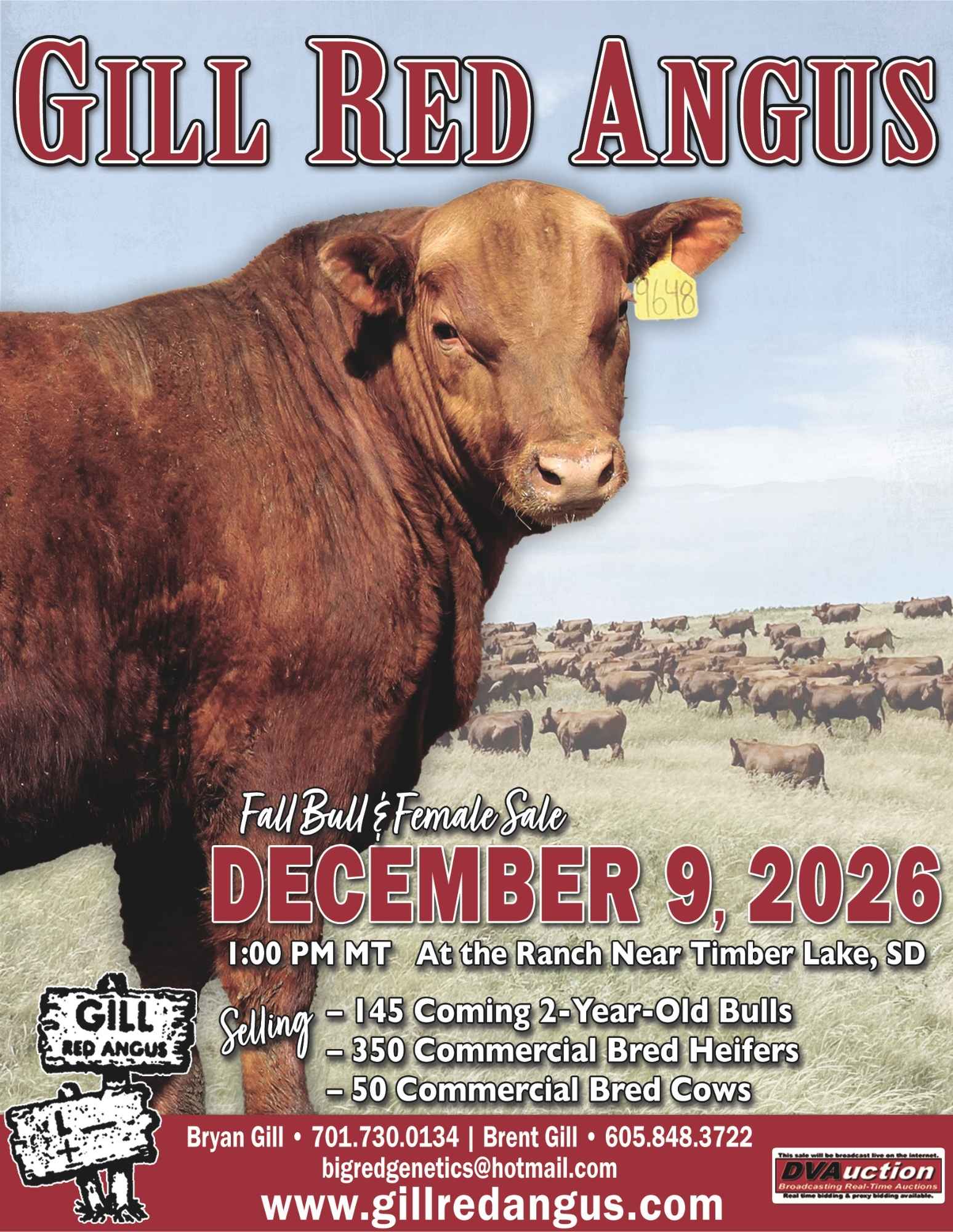 Gill Red Angus Bull and Commercial Bred Female Sale