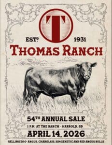 Thomas Ranch Bull Sale 2026 South Dakota Ranch Channel