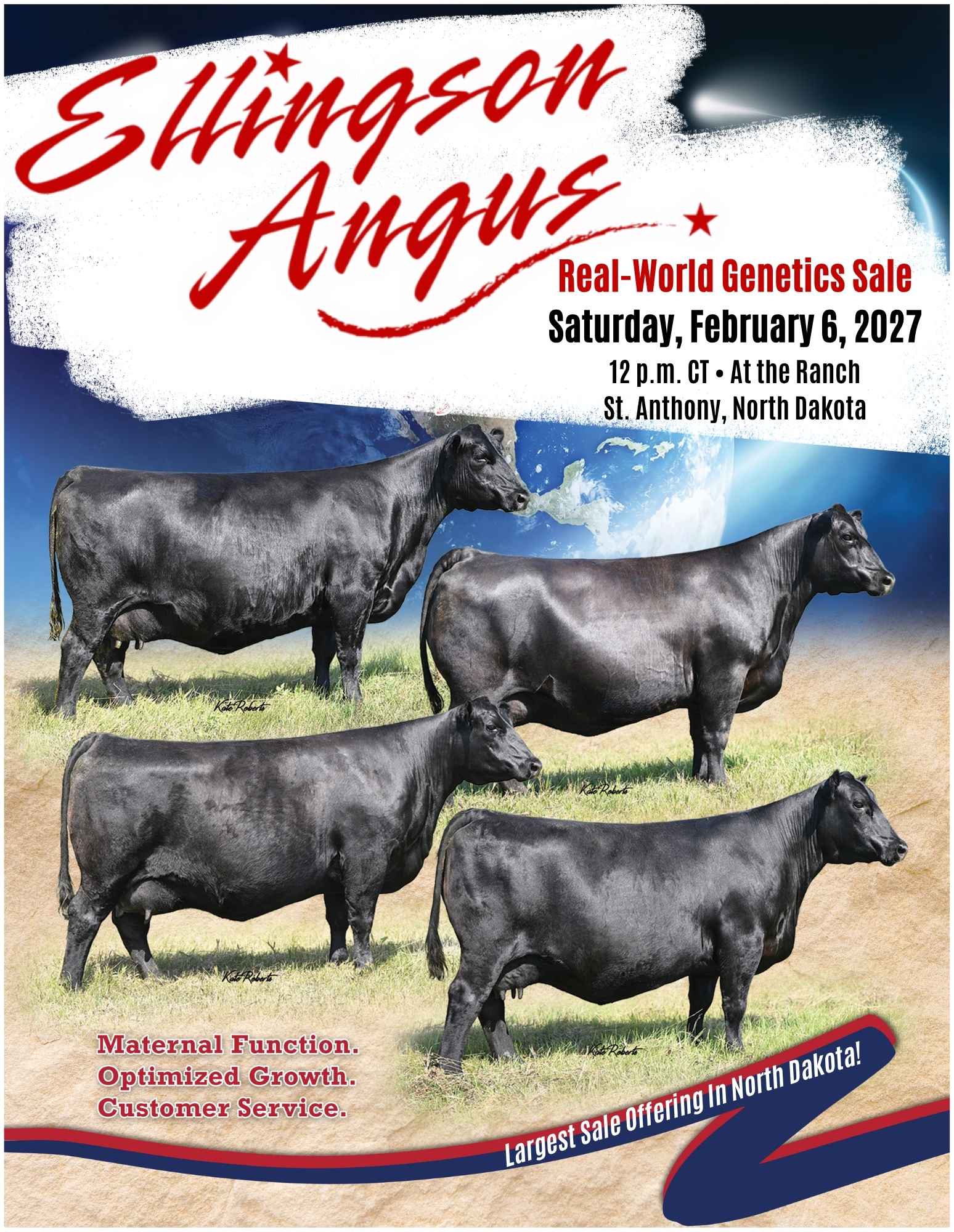 Ellingson Angus Bull Heifer Sale 2027 North Dakota Ranch Channel Catalog