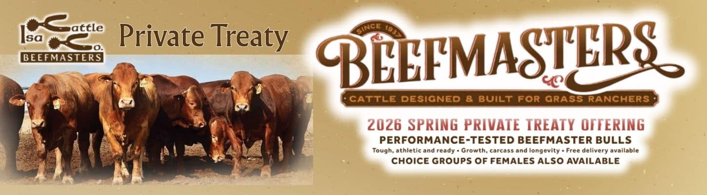 ISA Beefmasters Private Treaty Bull Heifer Sale San Angelo Texas 2026