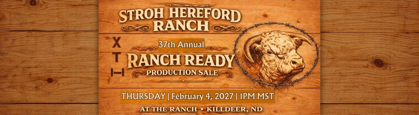 Stroh Hereford Ranch Bulls For Sale 2027 North Dakota Ranch Channel