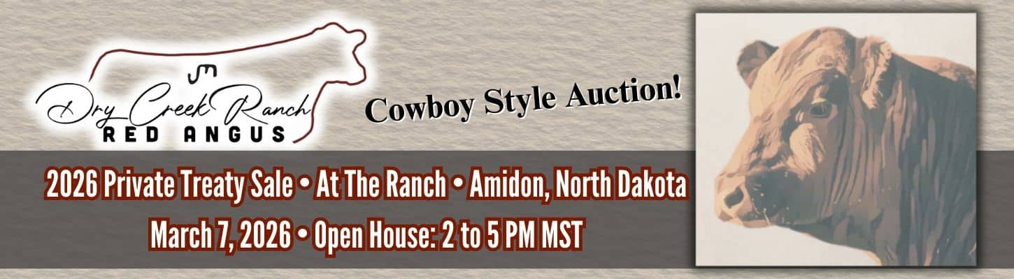 Dry Creek Red Angus Bull Sale North Dakota