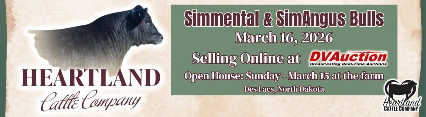 Heartland Cattle Company Online Simmental SimAngus Bull Sale North Dakota 2026