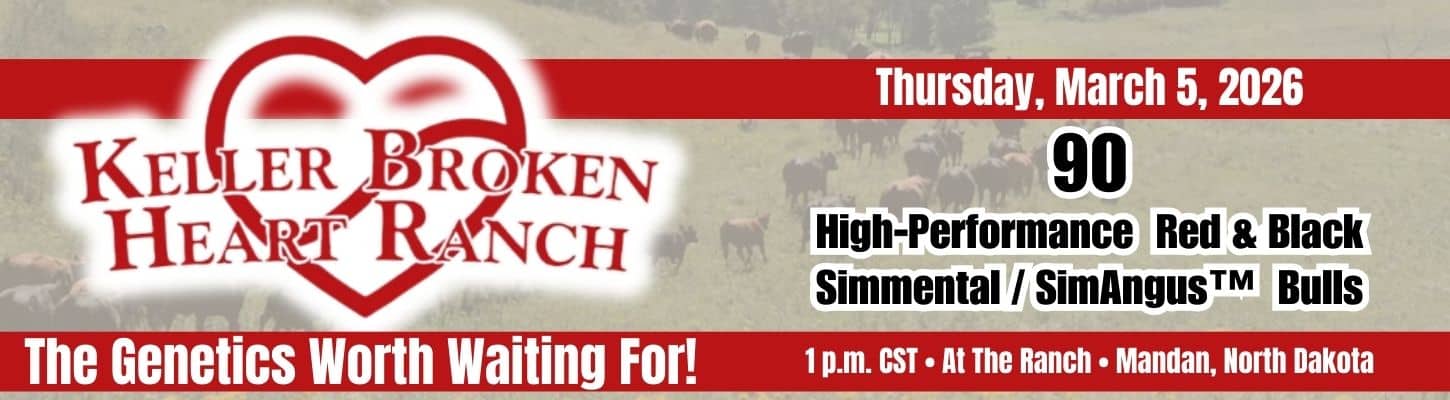 Keller Broken Heart Ranch Simmental SimAngus Bull Sale 2026