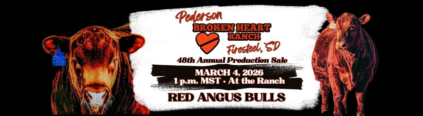 Pederson Broken Heart Ranch Red Angus Bull Sale 2026