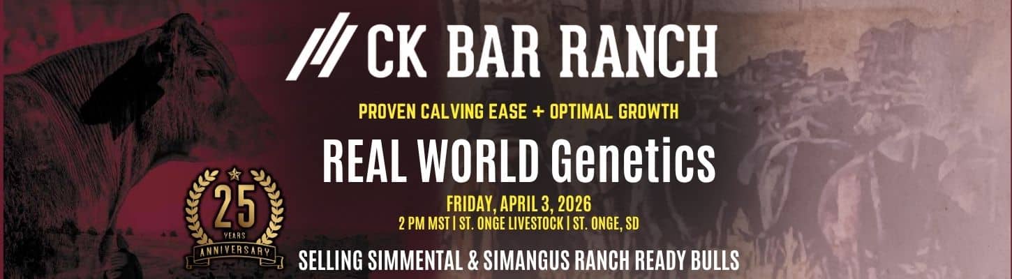 CK Bar Ranch Simmental SimAngus Bull Sale 2026