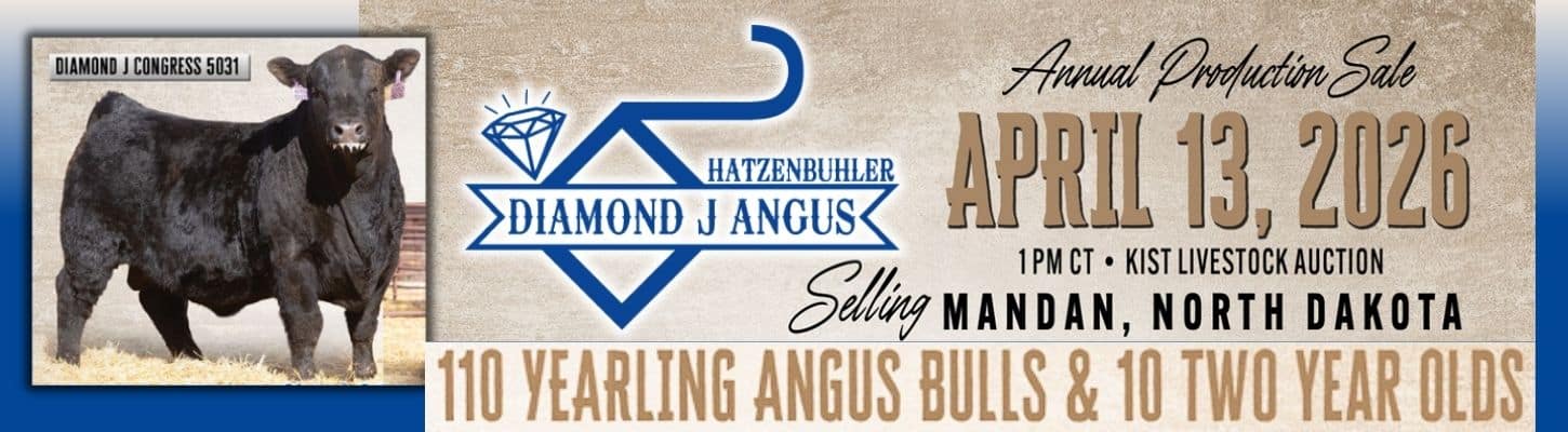 Diamond J Angus Bull Sale 2026 Hatzenbuhler Ranch Channel